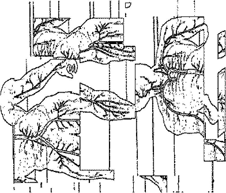 Post digital body graphic