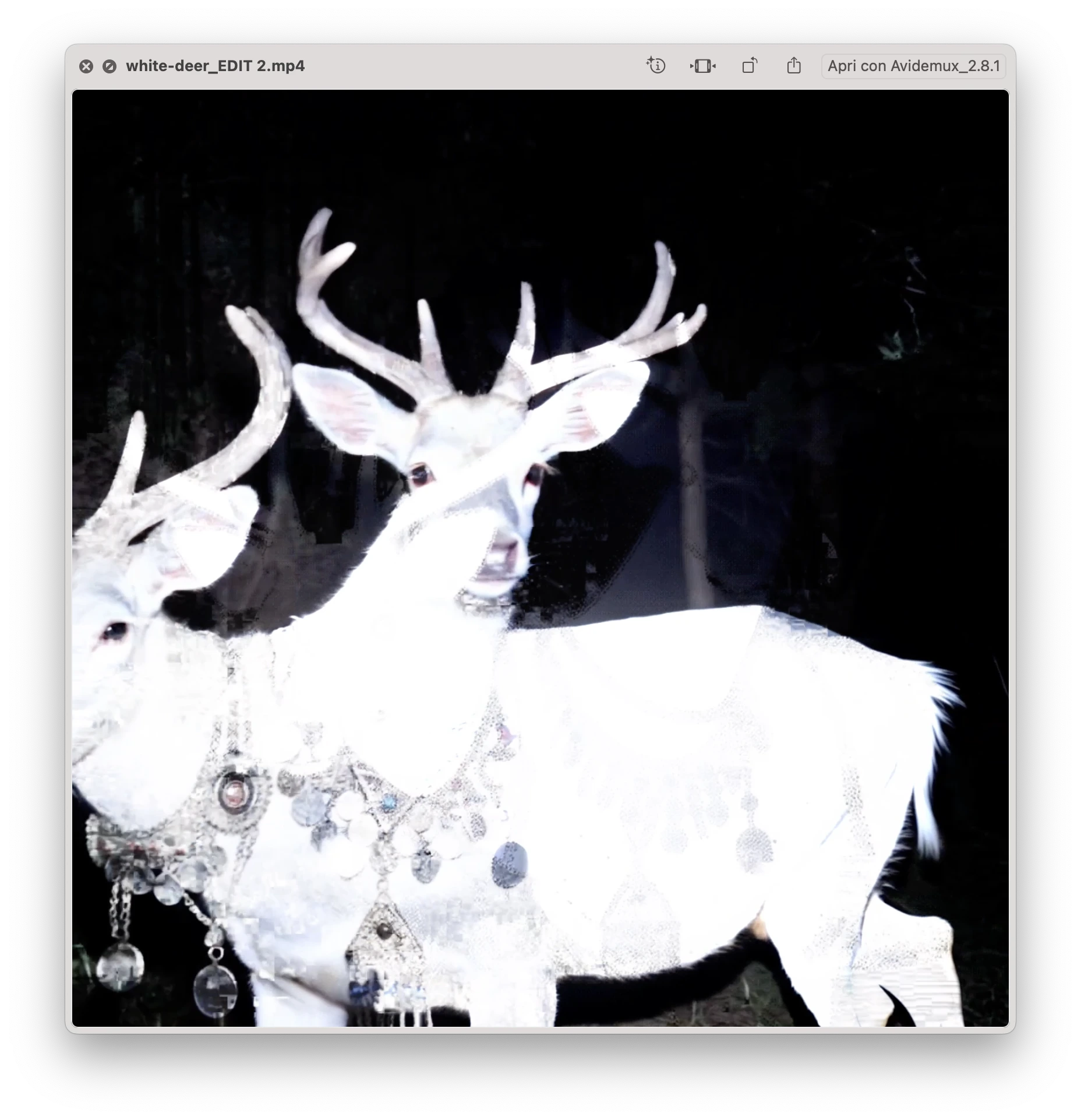 Double headed white deer artwork