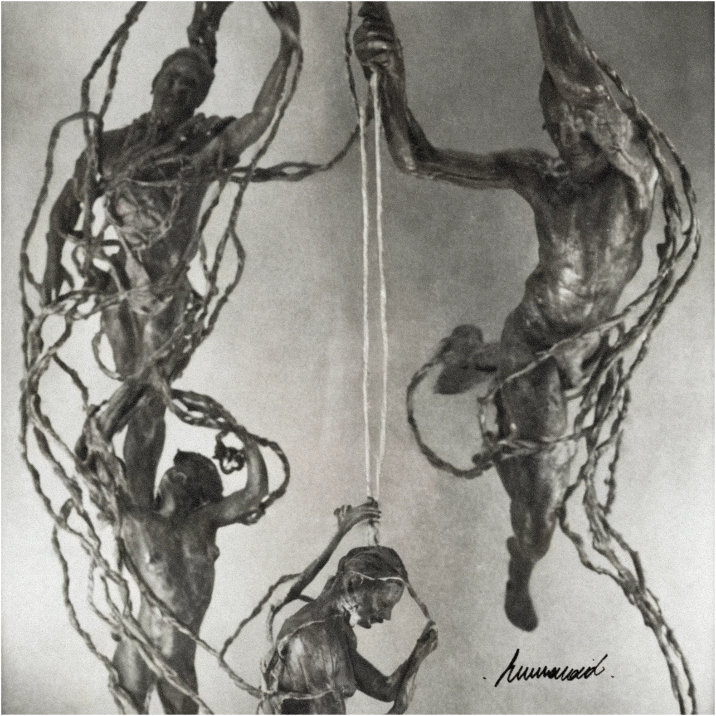 Record cover 21