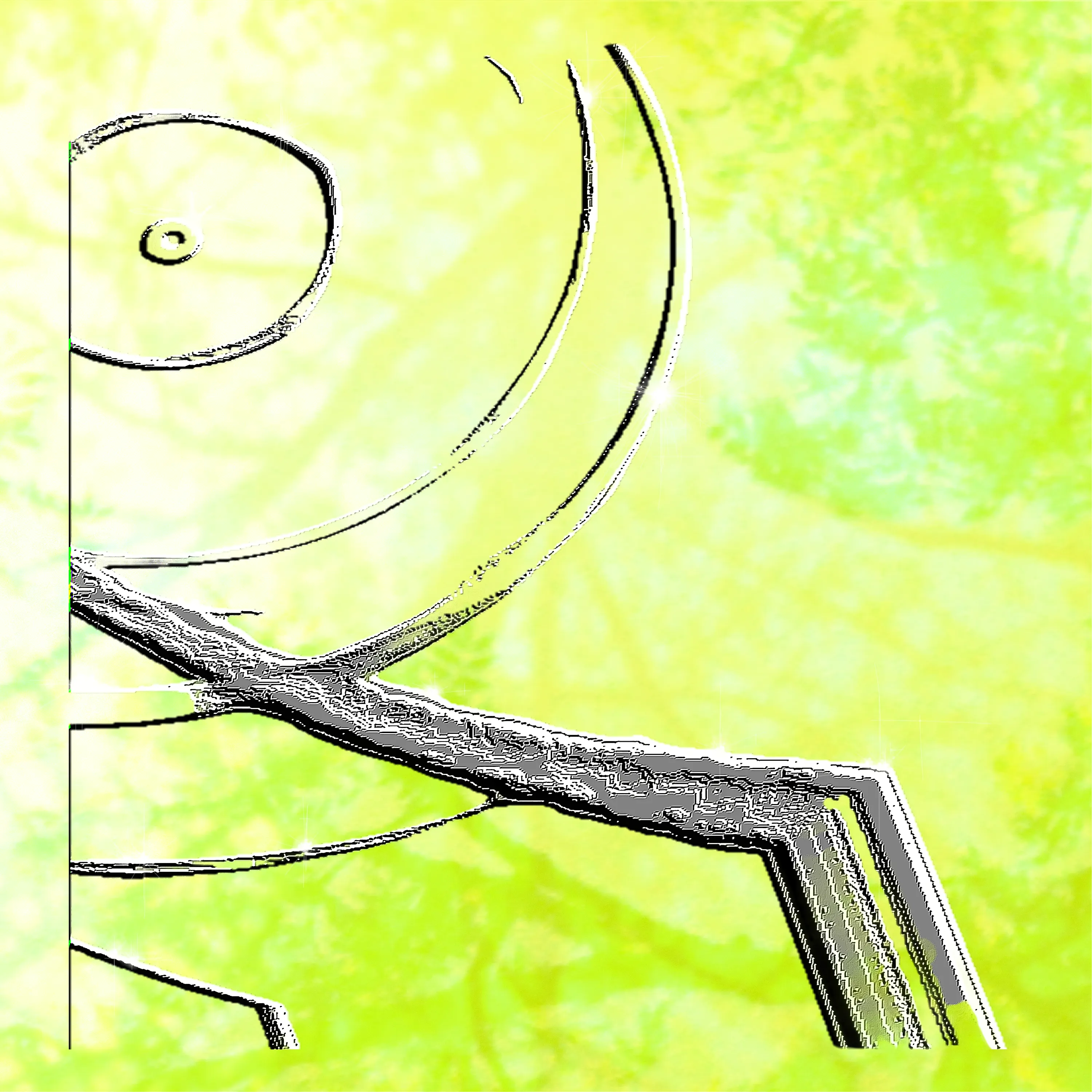 Record cover 9