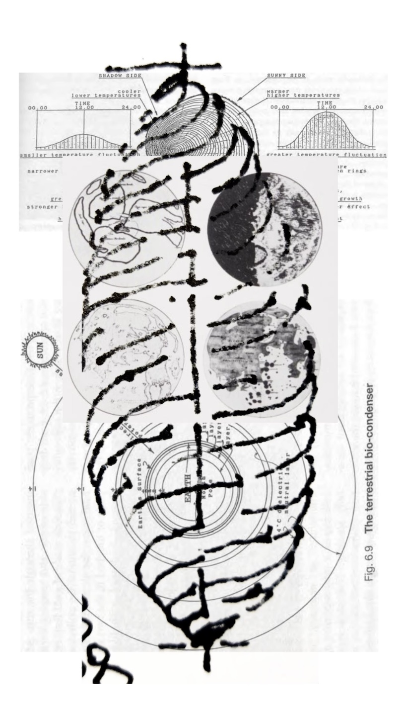 L.E.