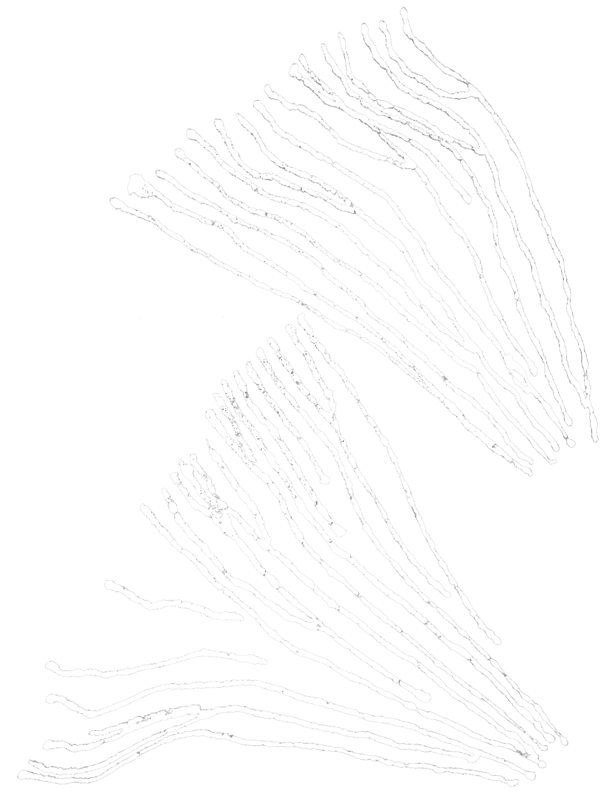 tree symbol